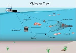 Dyneema Midwater Trawl