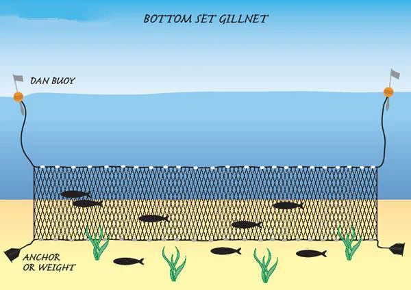 Sett tal-qiegħ Gillnet